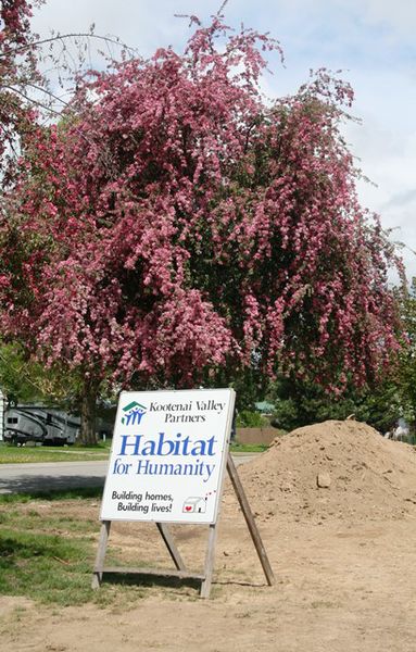 Habitat House location. Photo by LibbyMT.com.