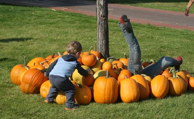 Checking out the pumpkins. Photo by LibbyMT.com.