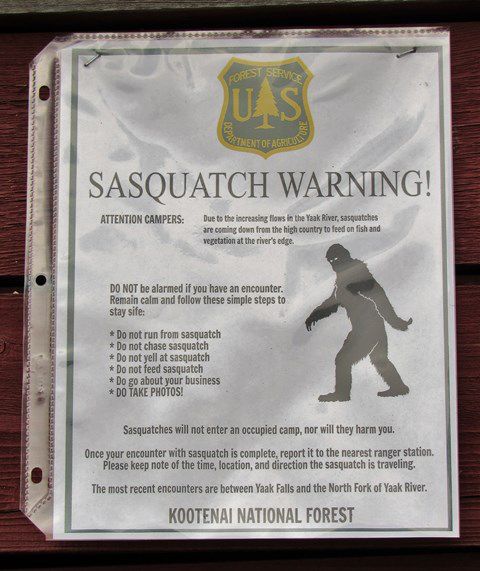 Sasquatch warning. Photo by LibbyMT.com.