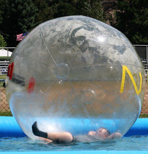 Cooling off in a water ball. Photo by LibbyMT.com.