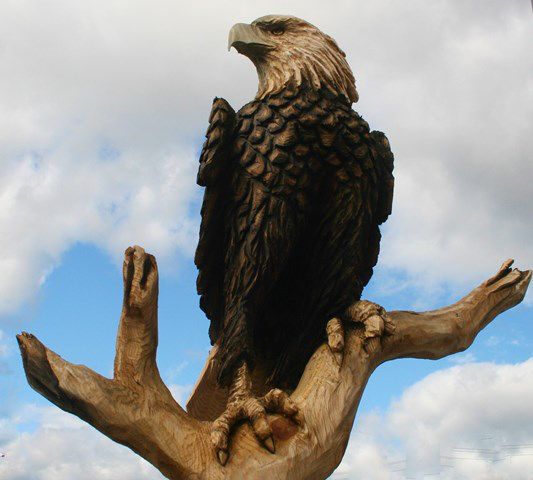 Joe Dussia's eagle. Photo by LibbyMT.com.