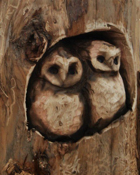 Quick carve owls. Photo by LibbyMT.com.