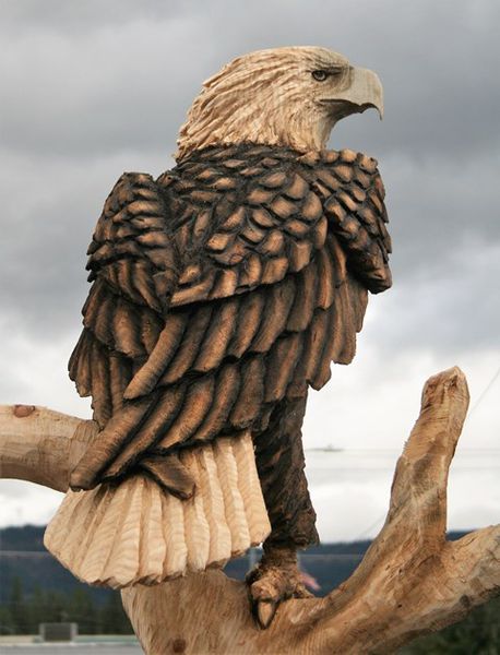 Eagle detail. Photo by LibbyMT.com.