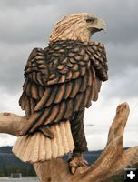 Eagle detail. Photo by LibbyMT.com.