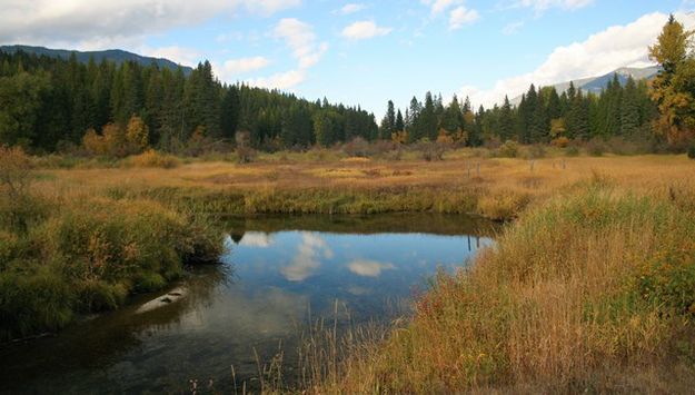 Bull River. Photo by LibbyMT.com.