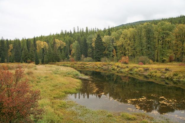 Yaak River. Photo by LibbyMT.com.