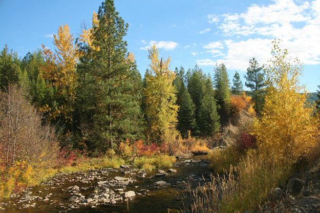 Pleasant Valley Fisher River. Photo by LibbyMT.com.