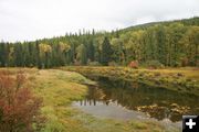 Yaak River. Photo by LibbyMT.com.