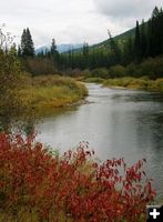 Yaak River. Photo by LibbyMT.com.