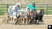 Chuckwagon Races. Photo by Kootenai River Stampede.