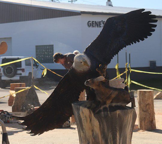 Colby Herrington's eagle. Photo by LibbyMT.com.