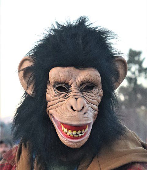 A scary ape. Photo by LibbyMT.com.