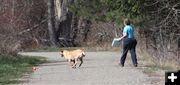 Playing fetch. Photo by LibbyMT.com.