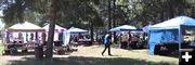 Vendors under the trees. Photo by LibbyMT.com.