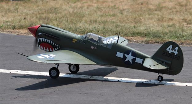 P-40 Warhawk. Photo by LibbyMT.com.