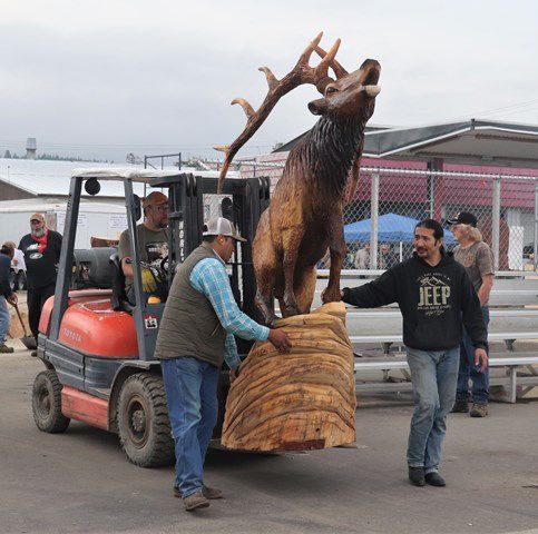 Moving Dennis's elk to the auction area. Photo by LibbyMT.com.