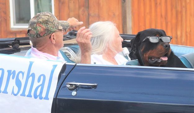 Riding with the Grand Marshal. Photo by LibbyMT.com.