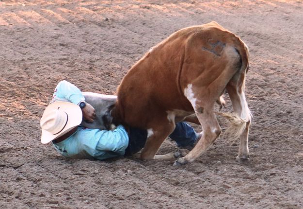 This is why they call it steer wrestling. Photo by LibbyMT.com.