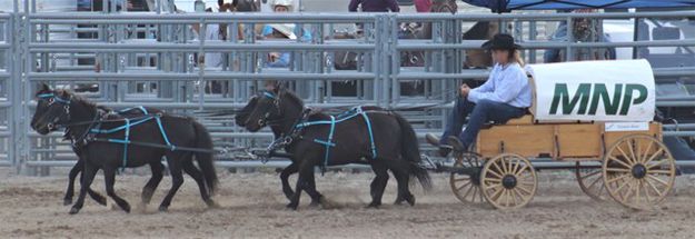 Chuckwagon intro. Photo by LibbyMT.com.