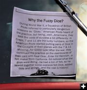 Why the fuzzy dice?. Photo by LibbyMT.com.