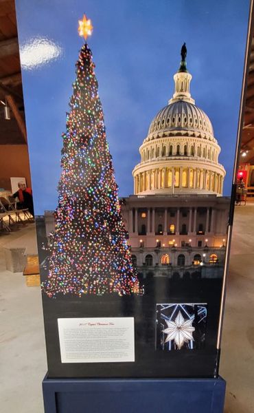 Photo display of the Kootenai Forest's 2017 Capitol Christmas tree. Photo by LibbyMT.com.