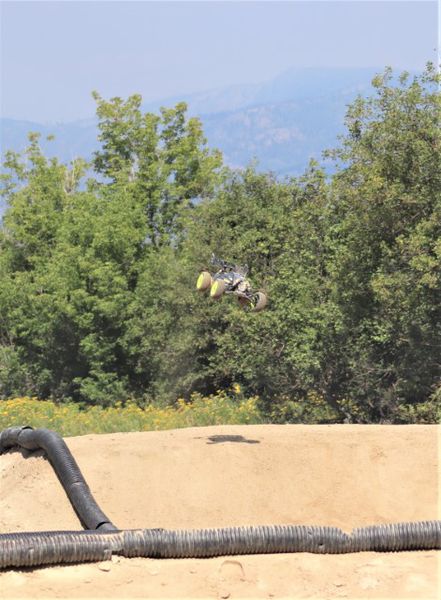 High flyer. Photo by LibbyMT.com.