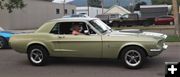 1967 Mustang. Photo by LibbyMT.com.