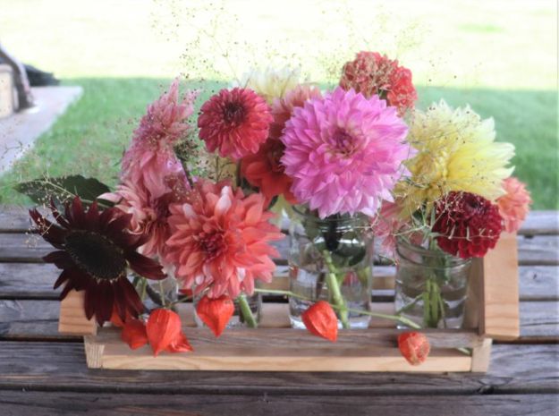 Lovely. Photo by LibbyMT.com.
