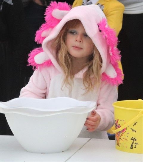 A young axolotl. Photo by LibbyMT.com.