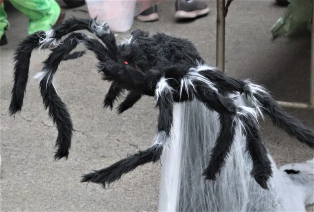 Jumping out. Photo by LibbyMT.com.