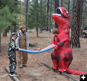 Balancing act. Photo by LibbyMT.com.