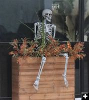 Been there a while. Photo by LibbyMT.com.