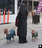 Dino dogs. Photo by LibbyMT.com.