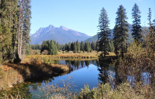 Reflection pond. Photo by LibbyMT.com.