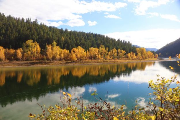 Kootenai River. Photo by LibbyMT.com.