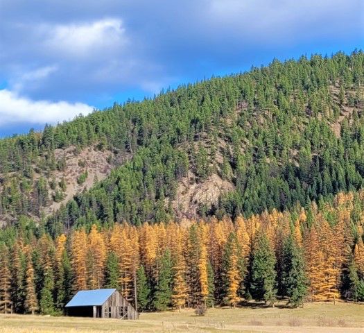 Highway 2. Photo by LibbyMT.com.