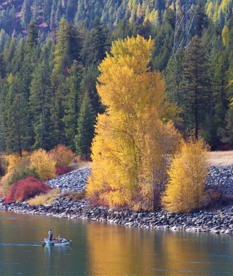 Kootenai River. Photo by LibbyMT.com.