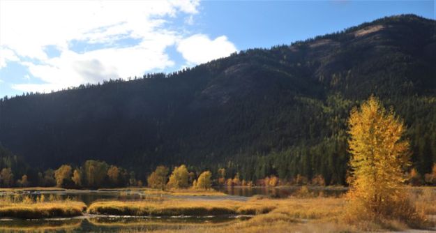Kootenai River. Photo by LibbyMT.com.