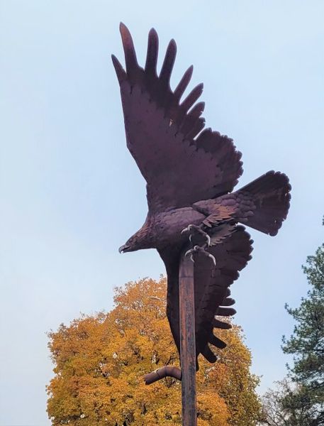 Todd Berget eagle. Photo by LibbyMT.com.