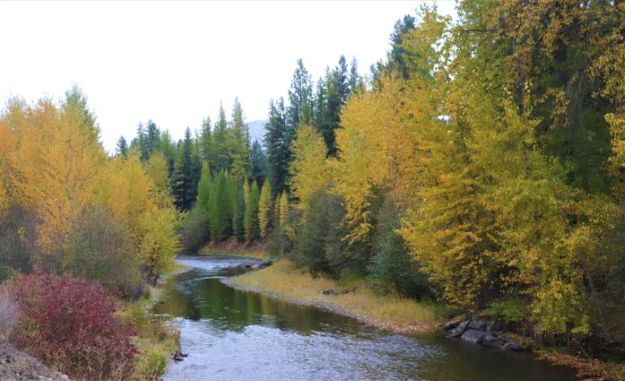 Fisher River. Photo by LibbyMT.com.