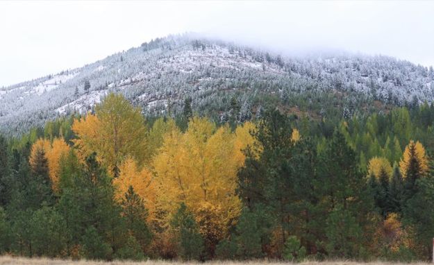 <center>Pleasant Valley</center> <center>Fisher River</center>. Photo by LibbyMT.com.