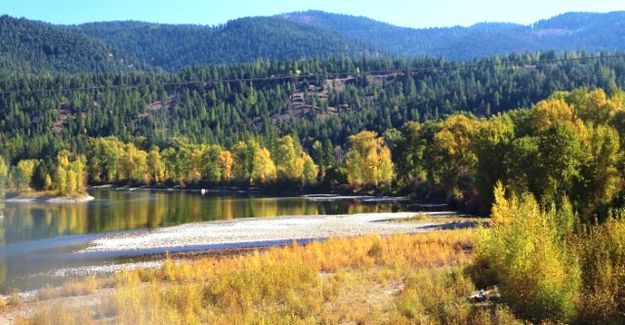 Kootenai River. Photo by LibbyMT.com.