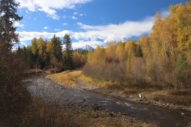 Libby Creek. Photo by LibbyMT.com.