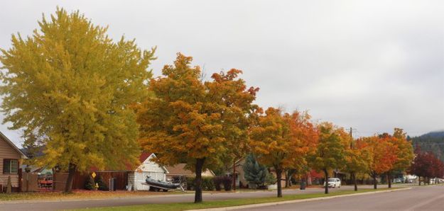 Lincoln Boulevard. Photo by LibbyMT.com.