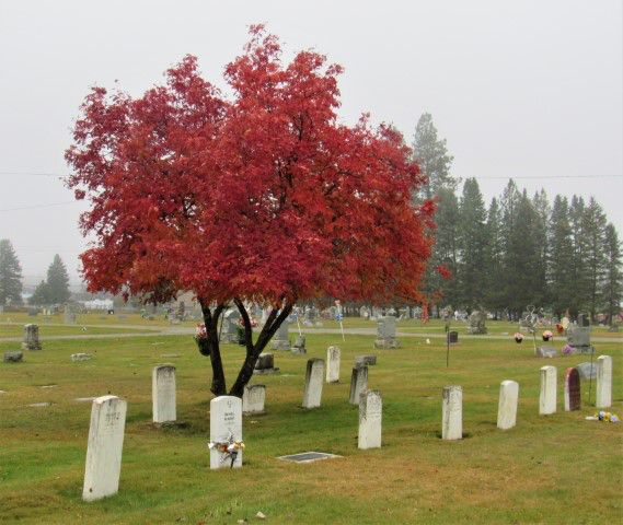 Military graves. Photo by LibbyMT.com.