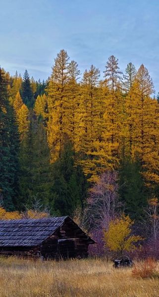 Pipe Creek. Photo by LibbyMT.com.