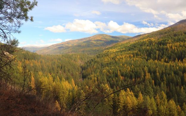 The Yaak. Photo by LibbyMT.com.