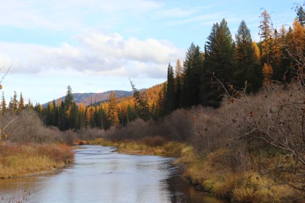 Yaak River. Photo by LibbyMT.com.