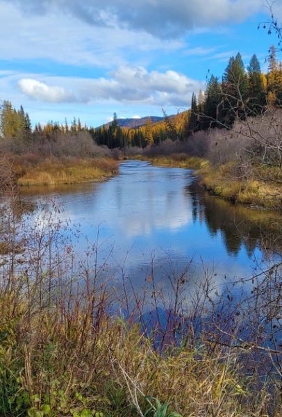 Yaak River. Photo by LibbyMT.com.