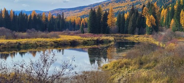 Yaak River. Photo by LibbyMT.com.